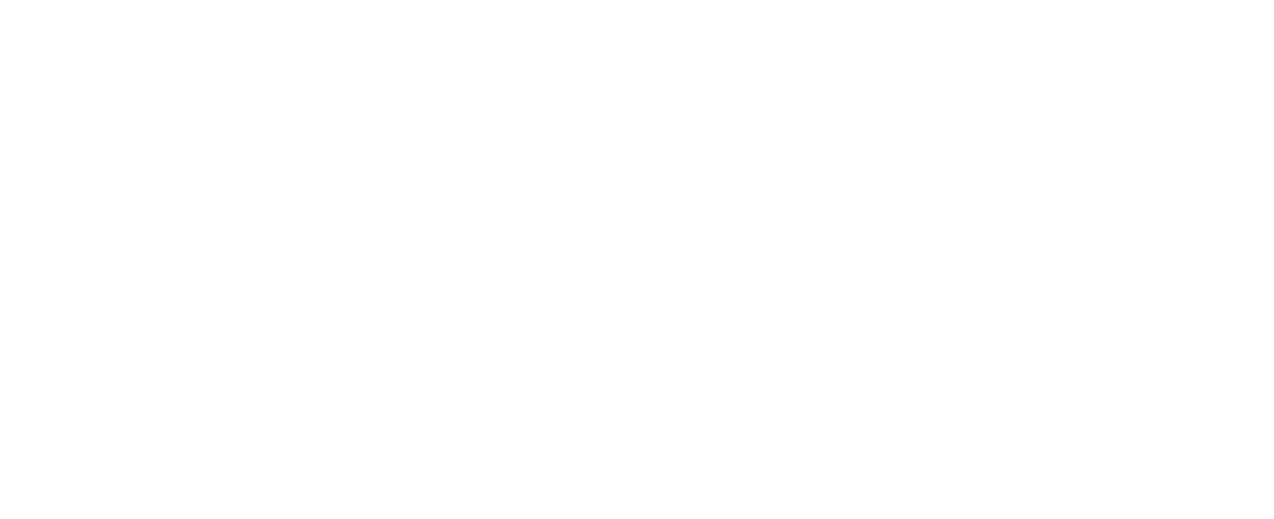 Elite Care and Staffing Logo all white- Copy